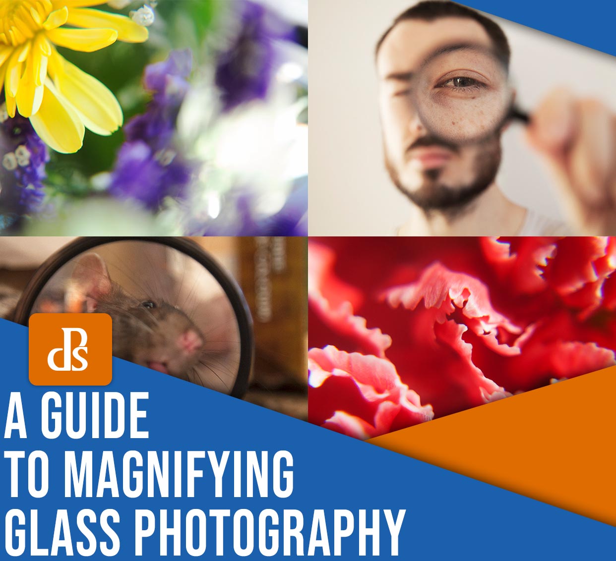 A guide to magnifying glass photography