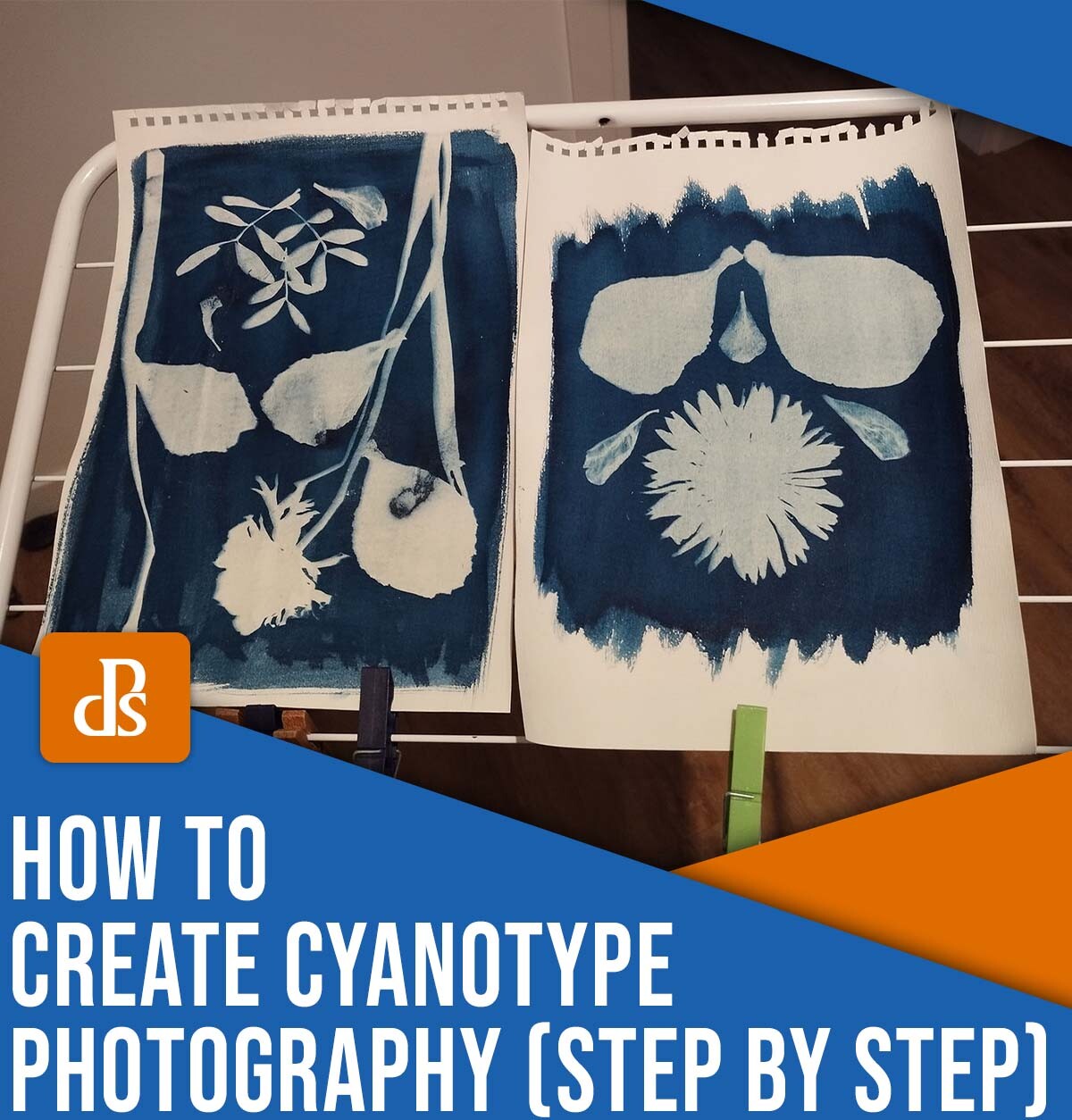 How to create cyanotype photography (step by step)